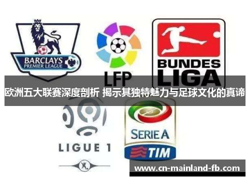 欧洲五大联赛深度剖析 揭示其独特魅力与足球文化的真谛