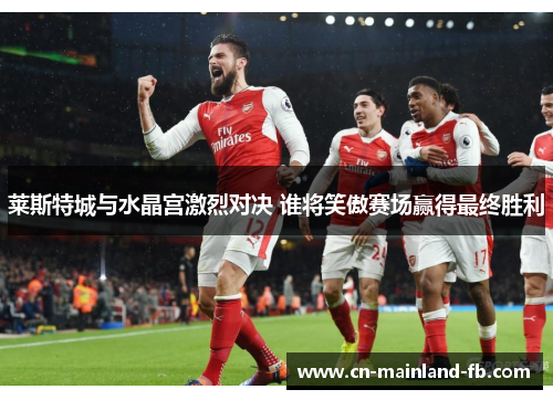 莱斯特城与水晶宫激烈对决 谁将笑傲赛场赢得最终胜利
