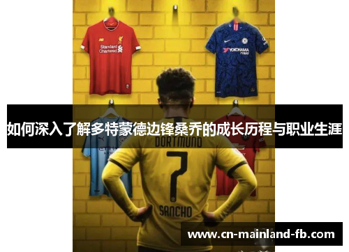 如何深入了解多特蒙德边锋桑乔的成长历程与职业生涯 如何深入了解多特蒙德边锋桑乔的成长历程与职业生涯