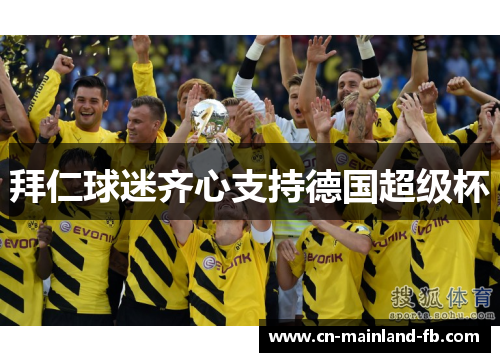 拜仁球迷齐心支持德国超级杯