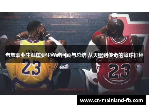 老詹职业生涯重要里程碑回顾与总结 从天赋到传奇的篮球征程