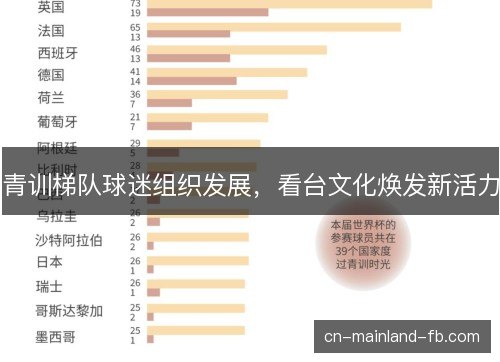青训梯队球迷组织发展，看台文化焕发新活力